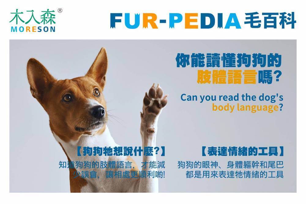 你能讀懂狗狗的肢體語言嗎?