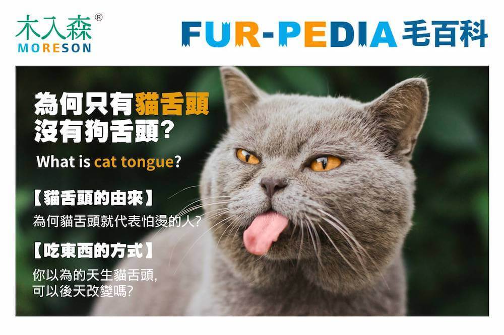 為何只有貓舌頭沒有狗舌頭?