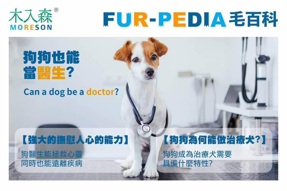 狗狗也能當醫生?