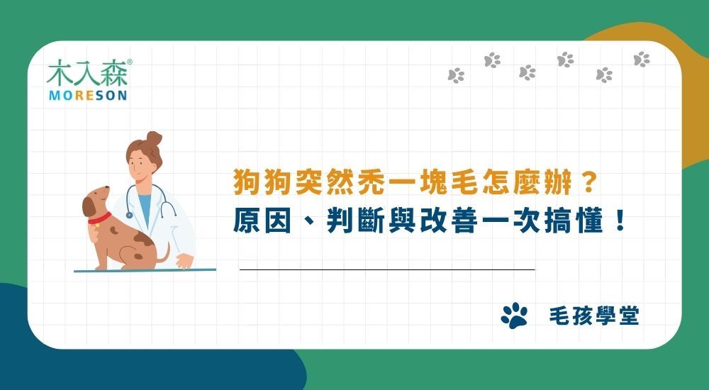 狗狗突然禿一塊毛怎麼辦？原因、判斷與改善一次搞懂！