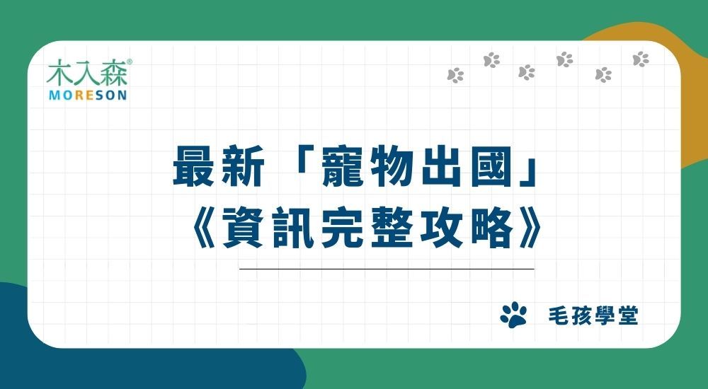 【2025最新】寵物出國資訊總整理！航空公司、費用、行政手續一次了解！