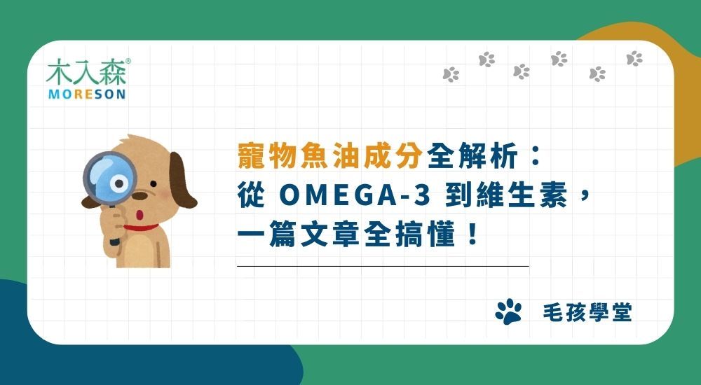 寵物魚油成分全解析：從 Omega-3 到維生素，一篇文章全搞懂！