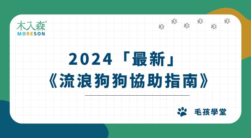 【流浪狗狗協助指南】法規問題、領養流程、動物救援，撿到狗處理方法一次看！