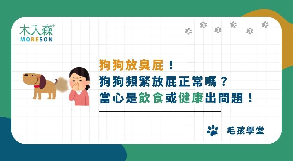 狗狗放臭屁！ 狗狗頻繁放屁正常嗎？ 當心是飲食或健康出問題！