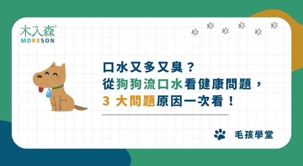 口水又多又臭？從狗狗流口水看健康問題，3 大問題原因一次看！