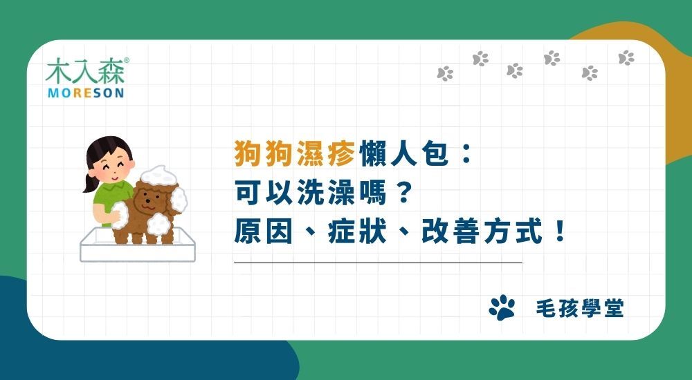 【狗狗濕疹懶人包】可以洗澡嗎？狗狗濕疹原因、症狀、改善方式一次看！