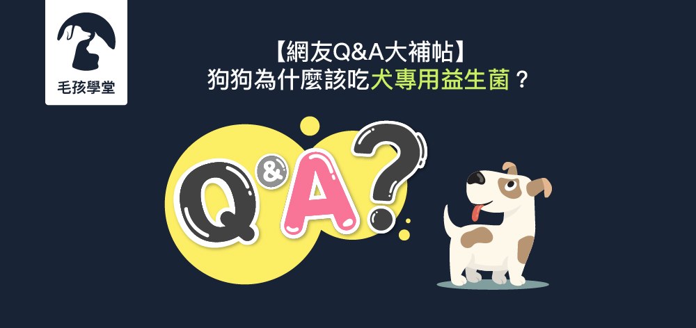 【網友Q&A大補帖】狗狗為什麼該吃犬專用益生菌 ？