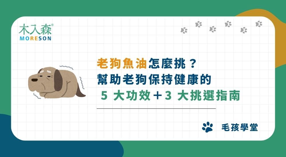 老狗魚油怎麼挑？幫助老狗保持健康的 5 大功效＋3 大挑選指南