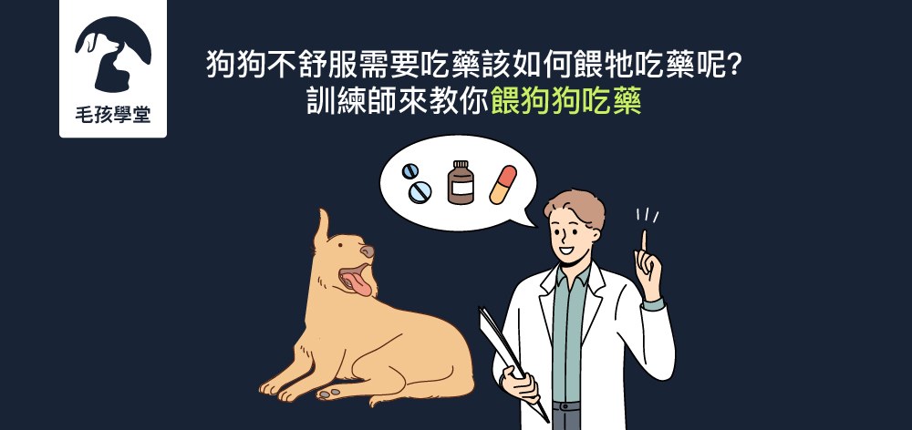 該如何餵狗狗吃藥呢？簡單4步驟從日常開始練習
