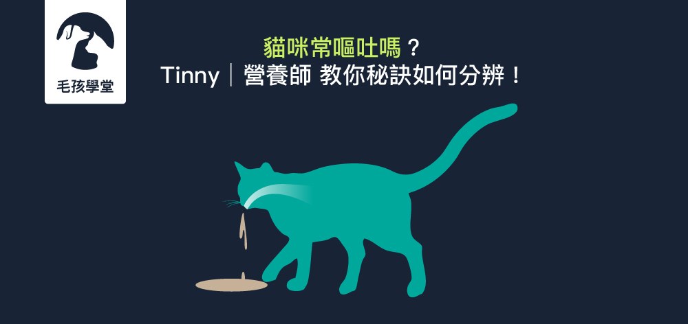 貓咪常嘔吐嗎？營養師教你貓咪嘔吐的情況分類與健康狀況評估
