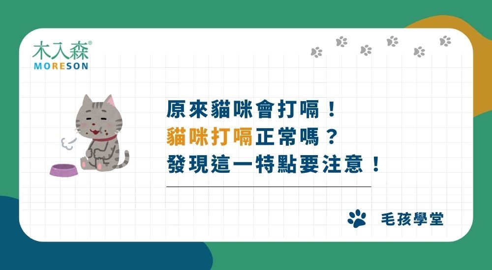 原來貓咪會打嗝！貓咪打嗝正常嗎？發現這一特點要注意！