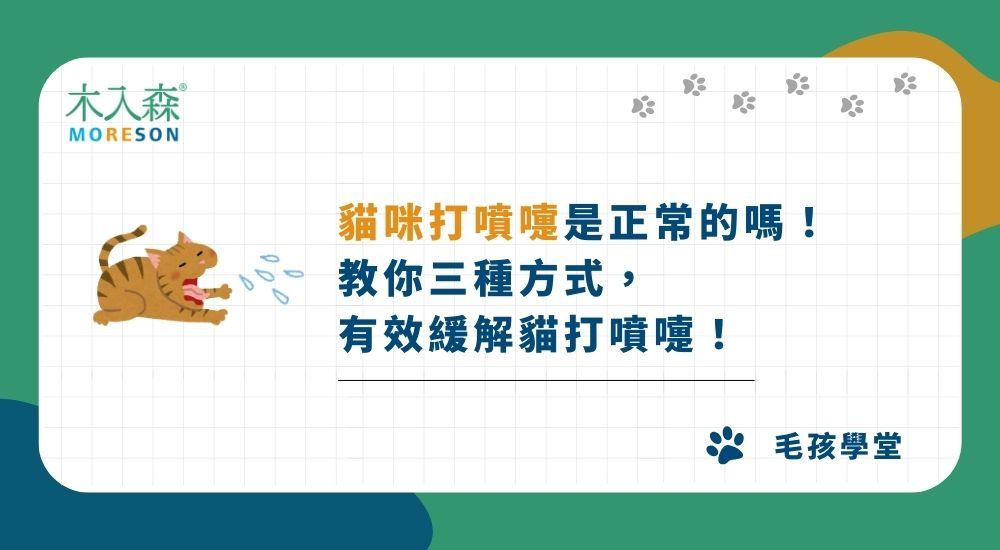 貓咪打噴嚏是正常的嗎！是不是感冒了？教你三種方式，有效緩解貓打噴嚏！