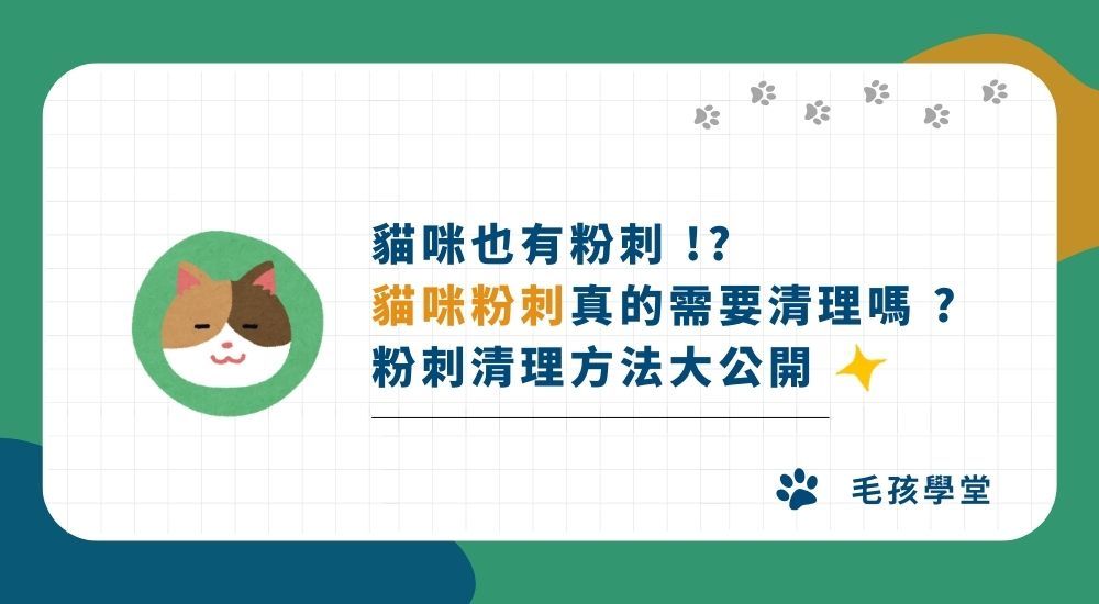 貓咪也有粉刺 !? 貓咪粉刺真的需要清理嗎 ? 跟著木入森了解神秘的貓粉刺及粉刺清理方法大公開