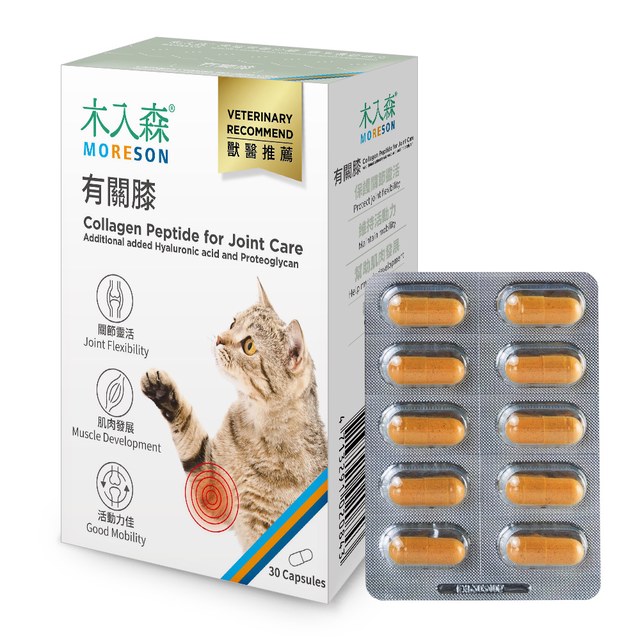 木入森 貓咪有關膝 30顆｜貓咪關節保健食品