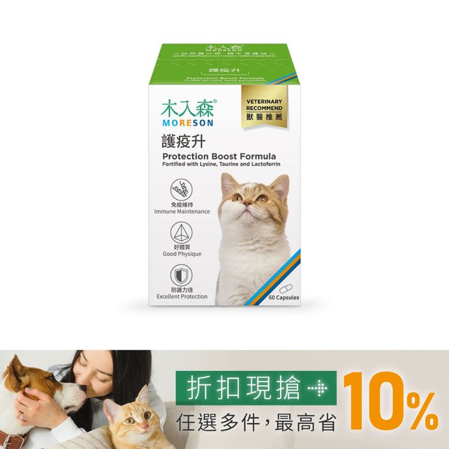 木入森 貓咪護疫升 60顆｜貓咪離胺酸