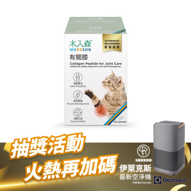 木入森 貓咪有關膝 60顆｜貓咪關節保健食品