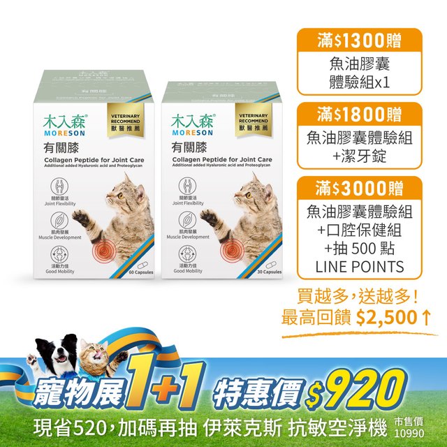 貓咪有關膝 60顆送30顆