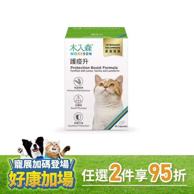 木入森 貓咪護疫升 30顆｜貓咪離胺酸
