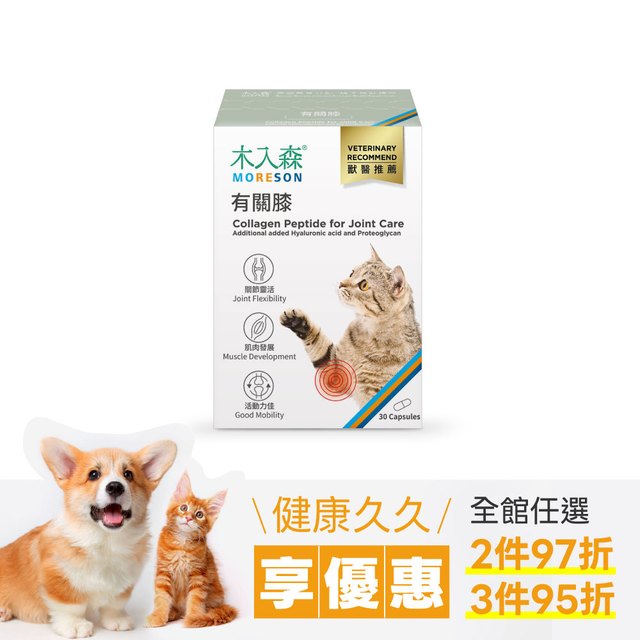 木入森 貓咪有關膝 30顆｜貓咪關節保健食品