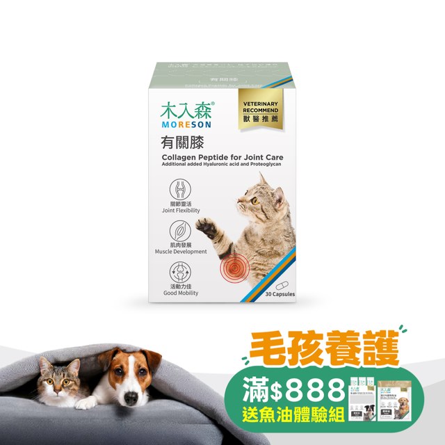 木入森 貓咪有關膝 30顆｜貓咪關節保健食品