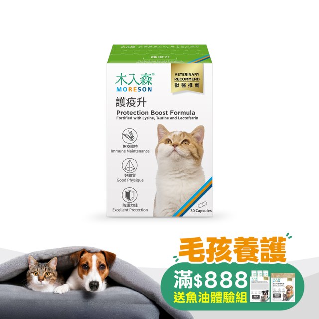 木入森 貓咪護疫升 30顆｜貓咪離胺酸