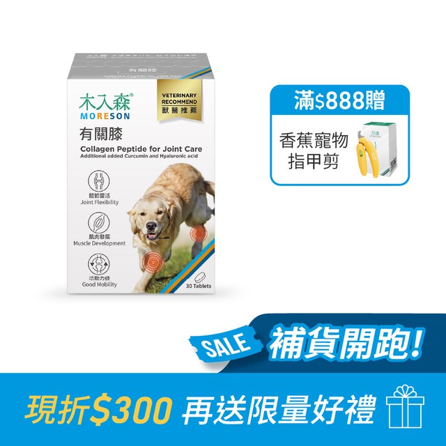 木入森 犬寶有關膝 30顆｜狗狗關節保健食品