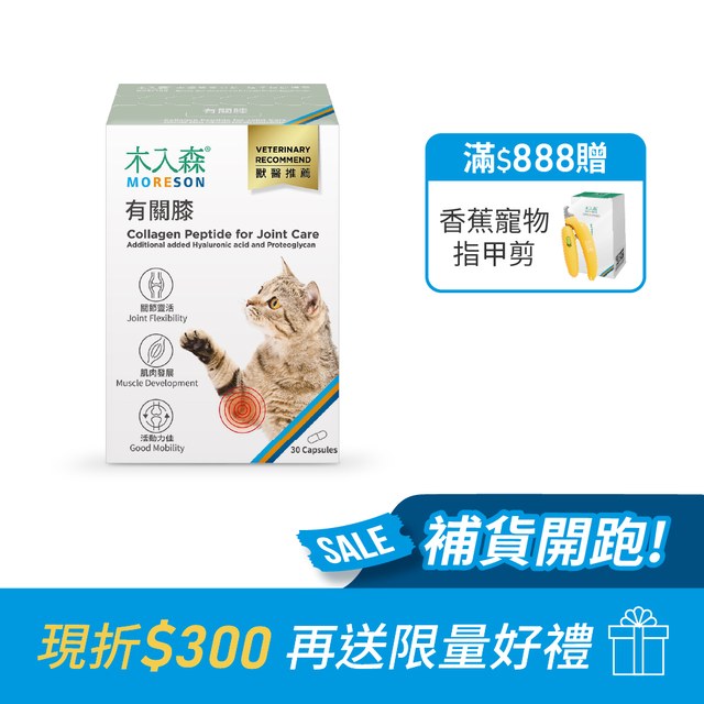 木入森 貓咪有關膝 30顆｜貓咪關節保健食品