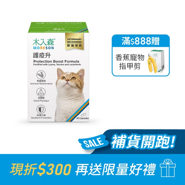 木入森 貓咪護疫升 30顆｜貓咪離胺酸