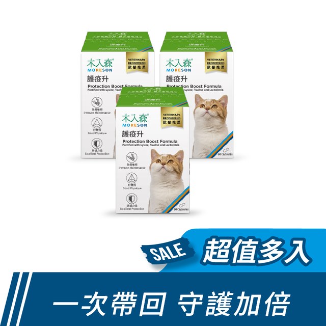 木入森 貓咪護疫升 60顆x3｜貓咪離胺酸