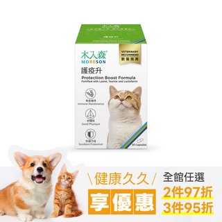木入森 貓咪護疫升 60顆｜貓咪離胺酸