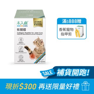 木入森 貓咪有關膝 60顆｜貓咪關節保健食品