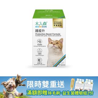 木入森 貓咪護疫升 60顆｜貓咪離胺酸