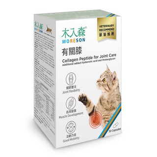 木入森 貓咪有關膝 30顆｜貓咪關節保健食品