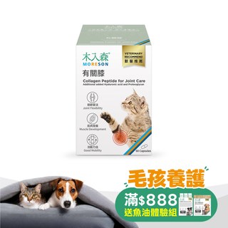 木入森 貓咪有關膝 60顆｜貓咪關節保健食品
