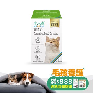 木入森 貓咪護疫升 60顆｜貓咪離胺酸