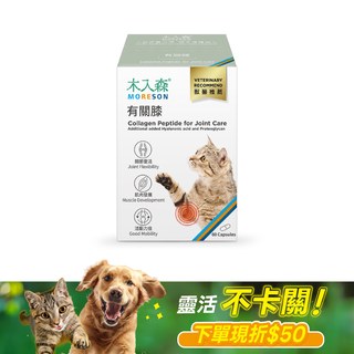 木入森 貓咪有關膝 60顆｜貓咪關節保健食品
