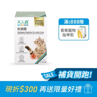 木入森 貓咪有關膝 30顆｜貓咪關節保健食品