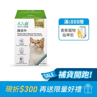 木入森 貓咪護疫升 60顆｜貓咪離胺酸