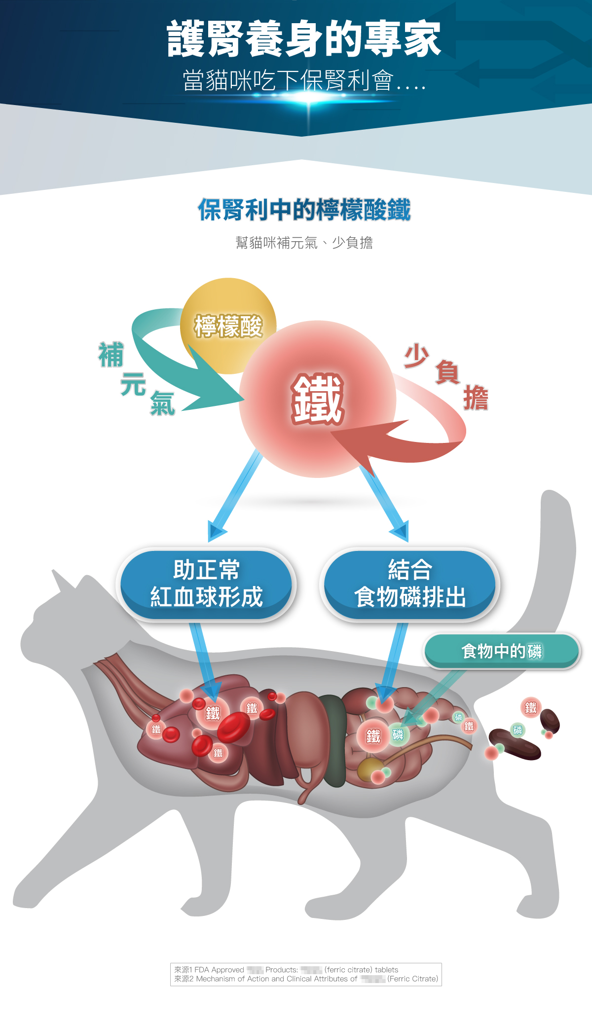 木入森貓咪保腎利｜貓咪腎保健