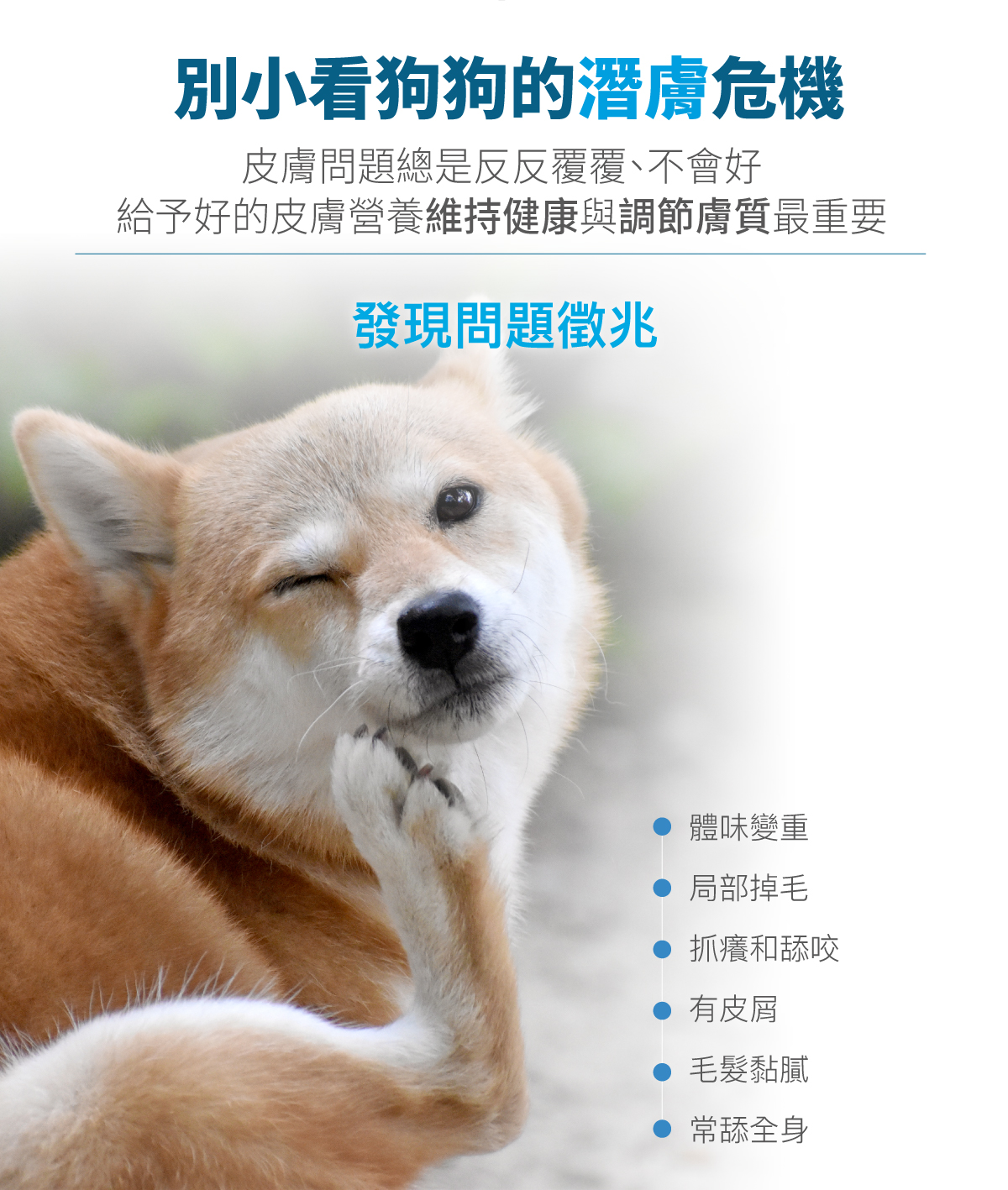 套組詳情頁_設計_犬膚立好+犬變不臭_3
