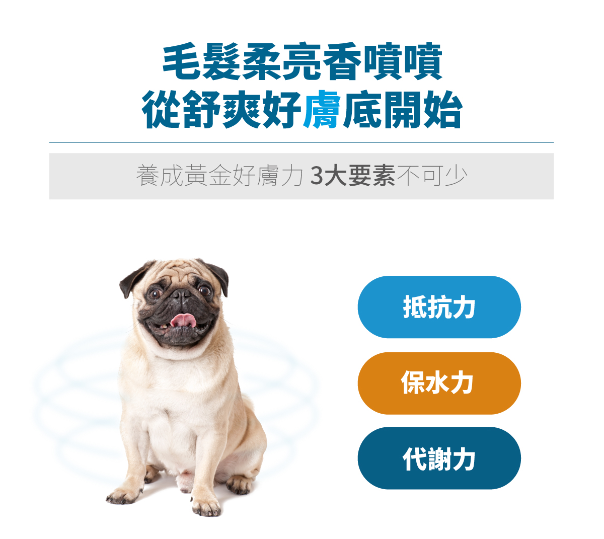 套組詳情頁_設計_犬膚立好+犬變不臭_4