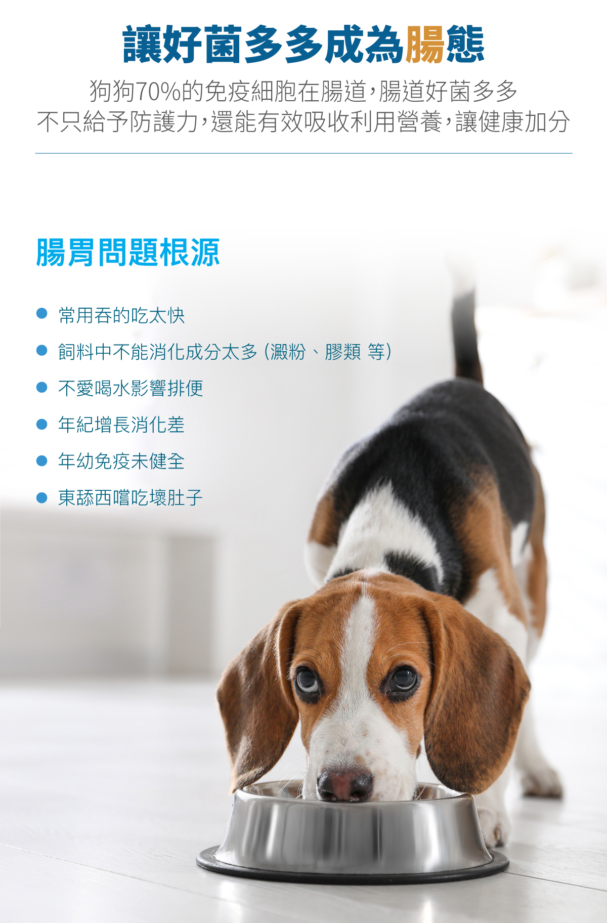 套組詳情頁_設計_犬膚立好+犬變不臭_6