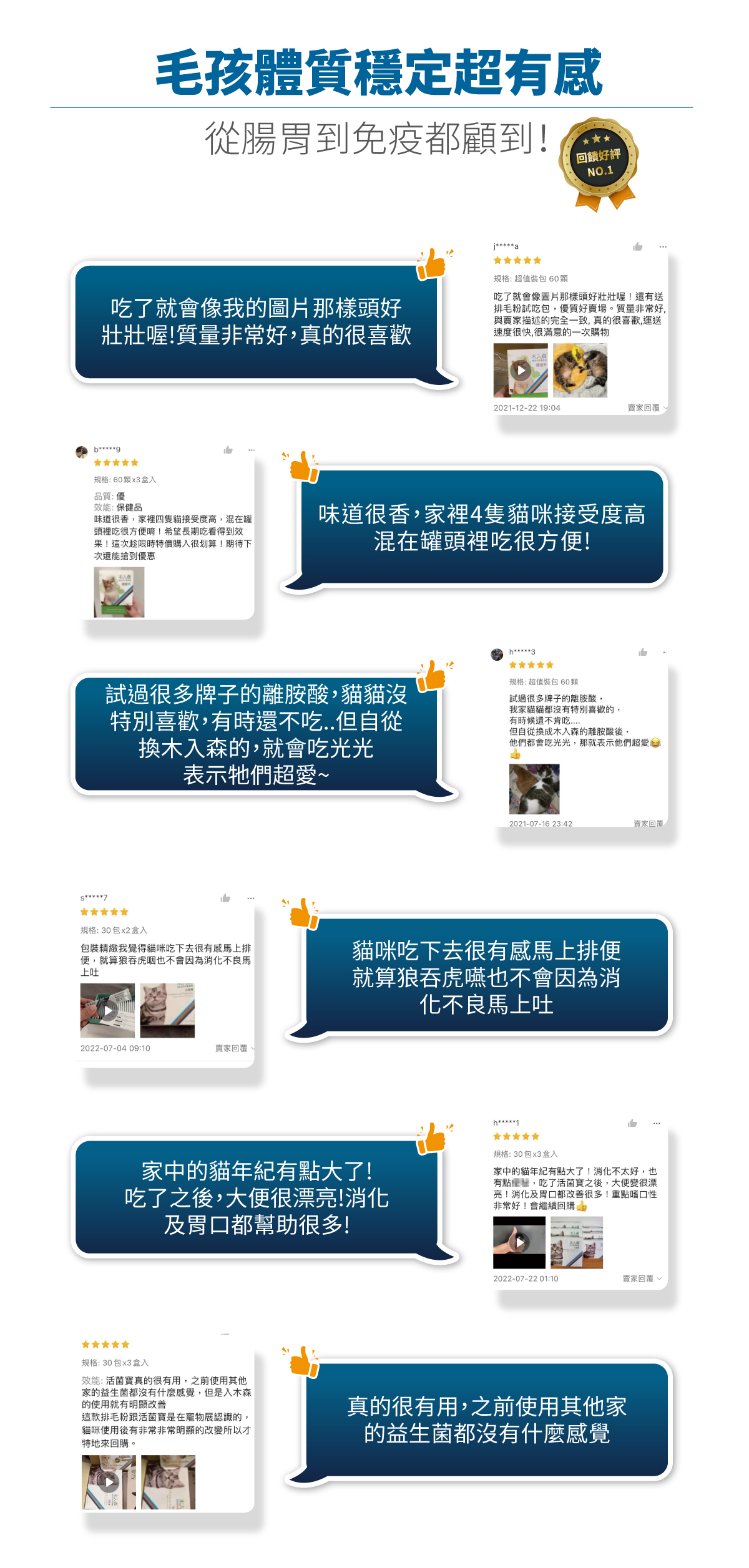 套組詳情頁_設計_貓護疫升+貓活菌寶_8