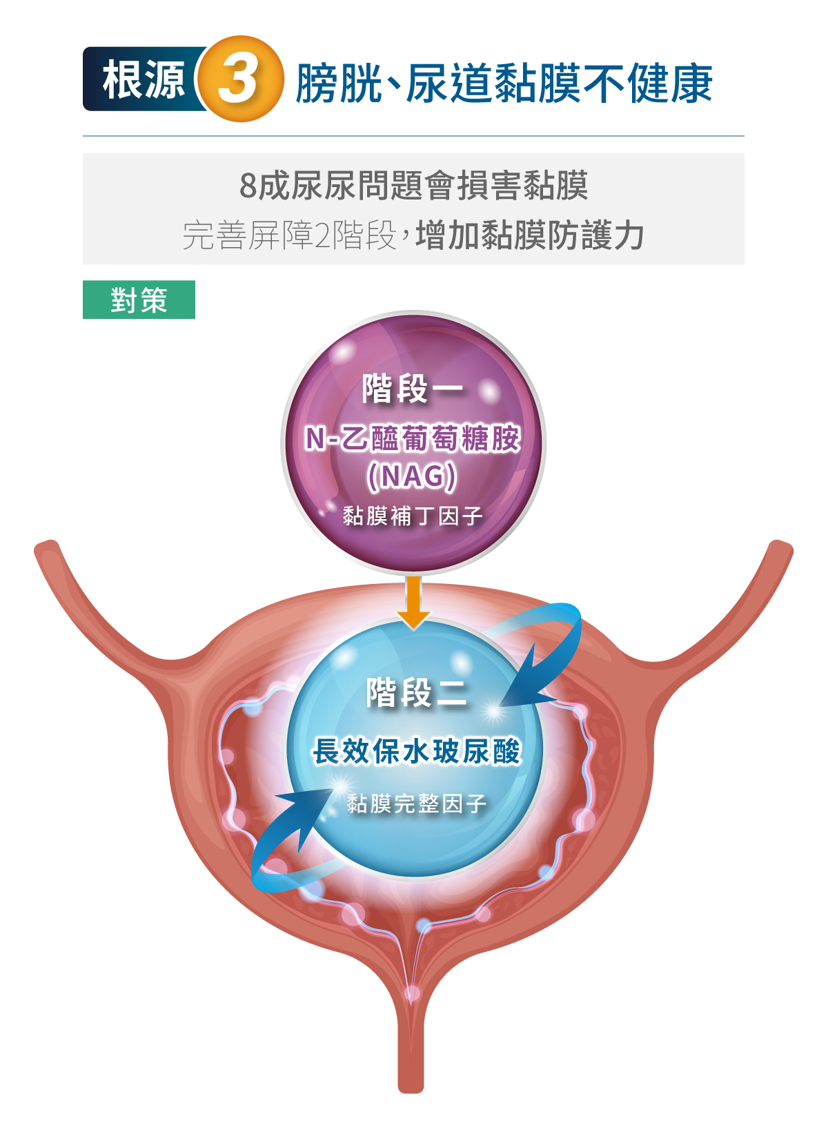 木入森 貓咪好規泌｜泌尿道健康保健