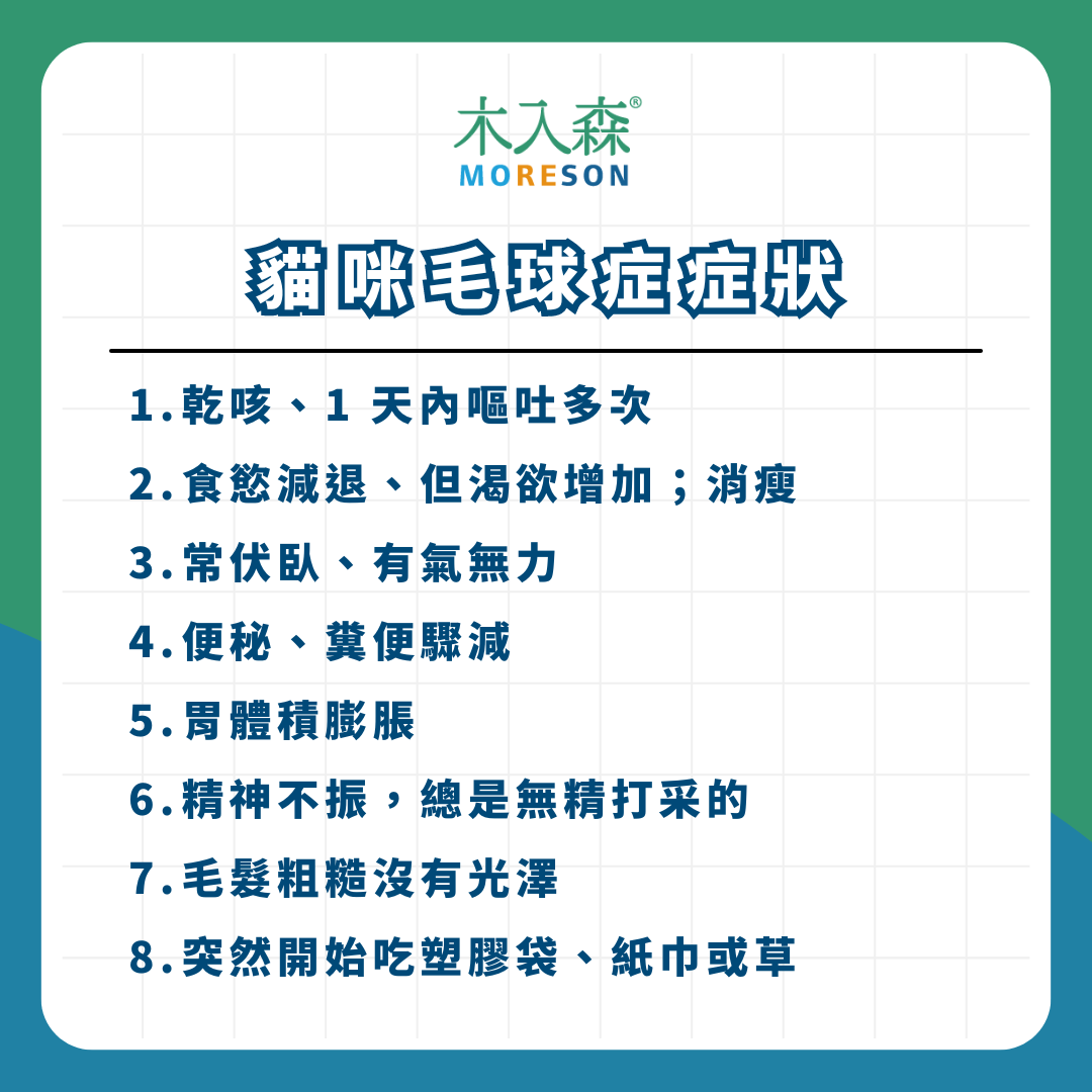 貓咪又吐毛！「貓咪毛球症」是什麼？成因、症狀與預防方式