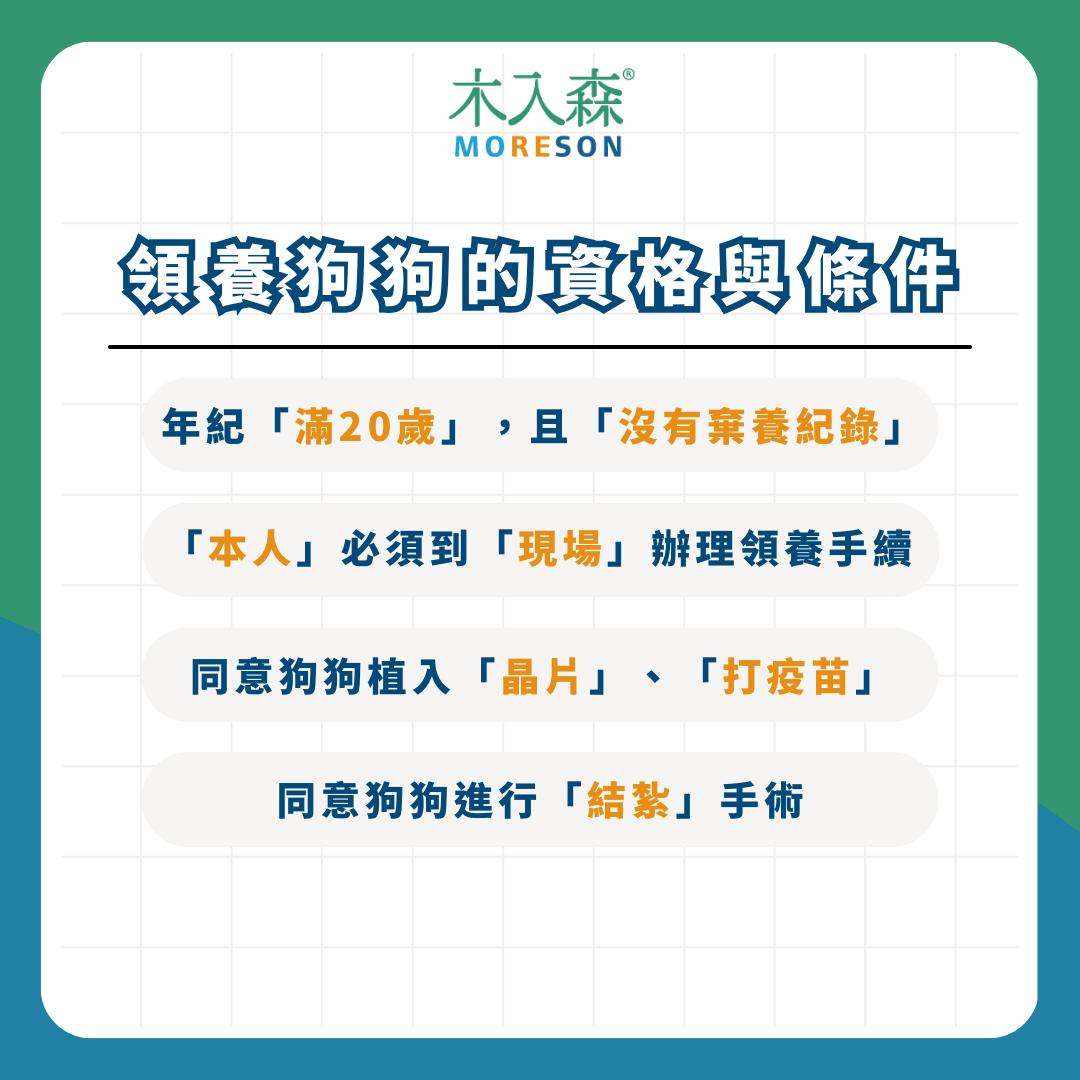 【流浪狗狗協助指南】法規問題、領養流程、動物救援，撿到狗處理方法一次看！