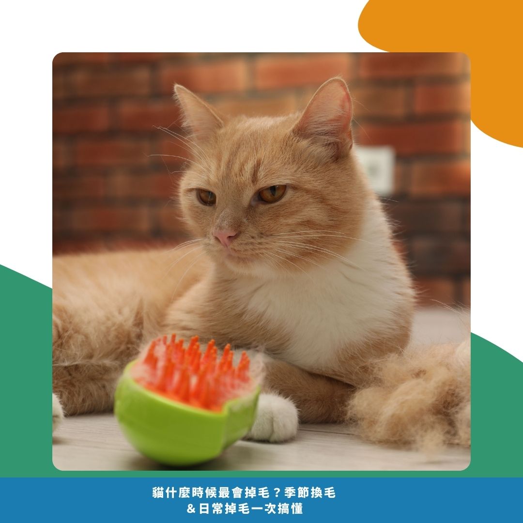 常見問題