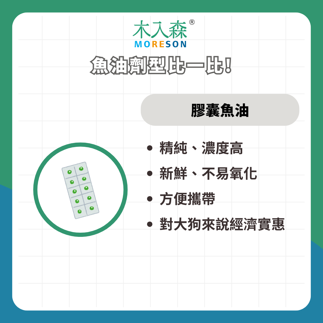 狗狗魚油怎麼選？五大挑選指南＋狗狗魚油推薦品牌，一次了解不踩雷！