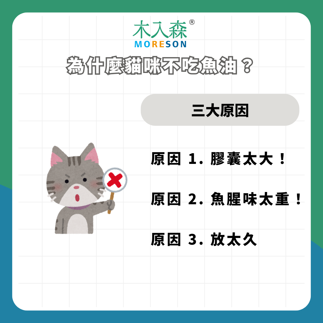 就是不愛吃！為什麼貓咪不吃魚油？如何讓貓咪乖乖把魚油吃下肚