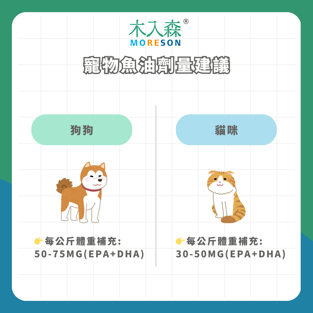 狗狗魚油怎麼選？五大挑選指南＋狗狗魚油推薦品牌，一次了解不踩雷！